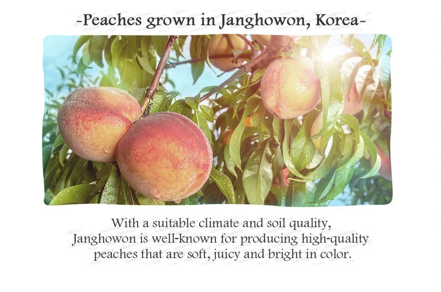 SKINFOOD - Peach Cotton Multi Finish Powder (Small) 5g