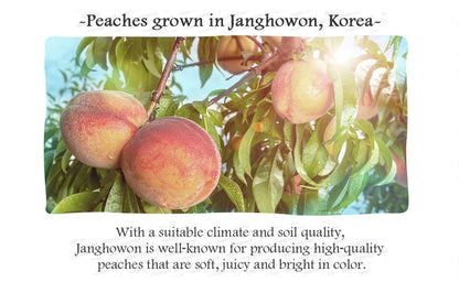 SKINFOOD - Peach Cotton Multi Finish Powder (Small) 5g