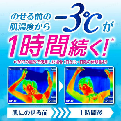 Kao - Biore Cooling Sheets