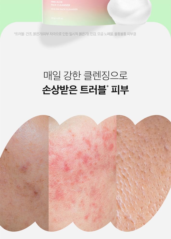 APRILSKIN - Pink Aloe Pack Cleanser