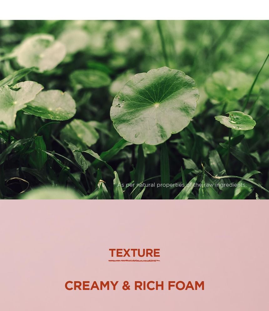 SKIN1004 - Madagascar Centella Poremizing Deep Cleansing Foam
