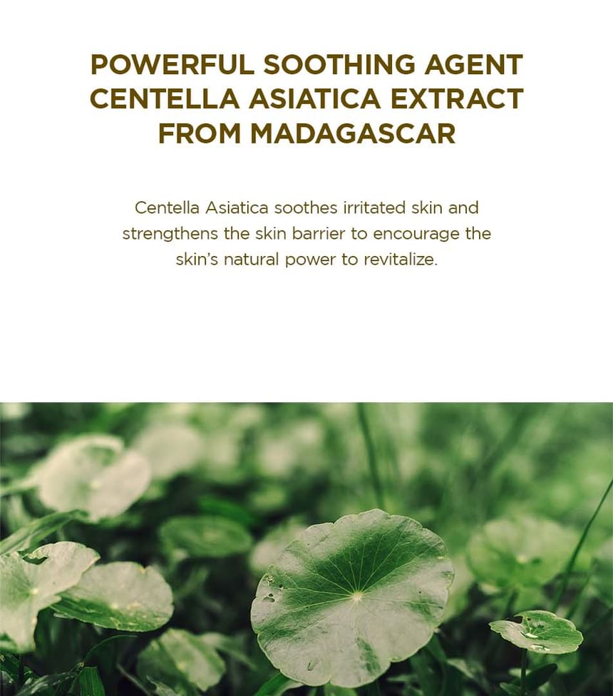 SKIN1004 - Madagascar Centella Ampoule Foam
