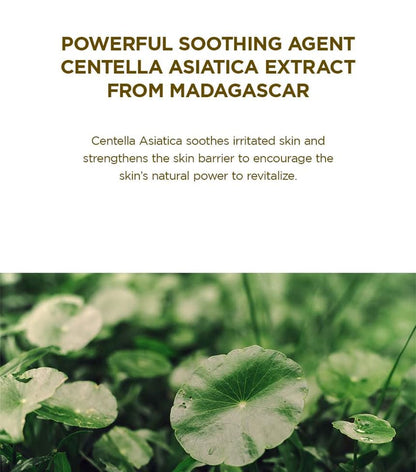 SKIN1004 - Madagascar Centella Ampoule Foam