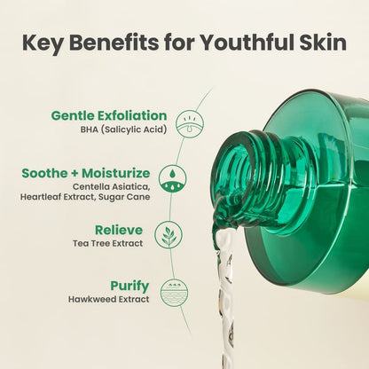 AXIS-Y - Daily Purifying Treatment Toner